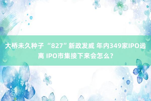 大桥未久种子 “827”新政发威 年内349家IPO远离 IPO市集接下来会怎么？