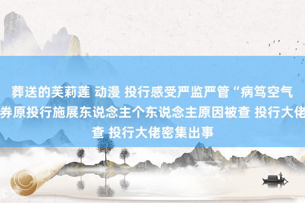 葬送的芙莉莲 动漫 投行感受严监严管“病笃空气” 国元证券原投行施展东说念主个东说念主原因被查 投行大佬密集出事