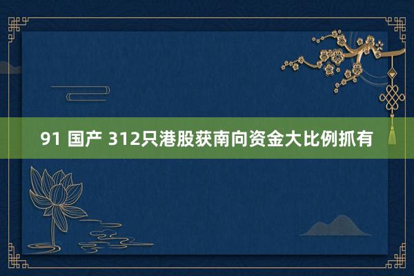 91 国产 312只港股获南向资金大比例抓有