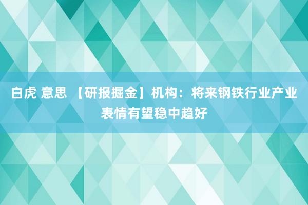 白虎 意思 【研报掘金】机构：将来钢铁行业产业表情有望稳中趋好
