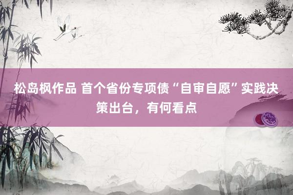 松岛枫作品 首个省份专项债“自审自愿”实践决策出台，有何看点